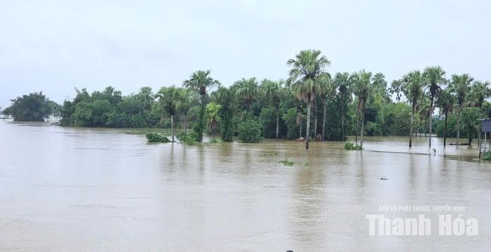 Mưa to kéo dài gây ngập lụt tại xã Nông Cống.