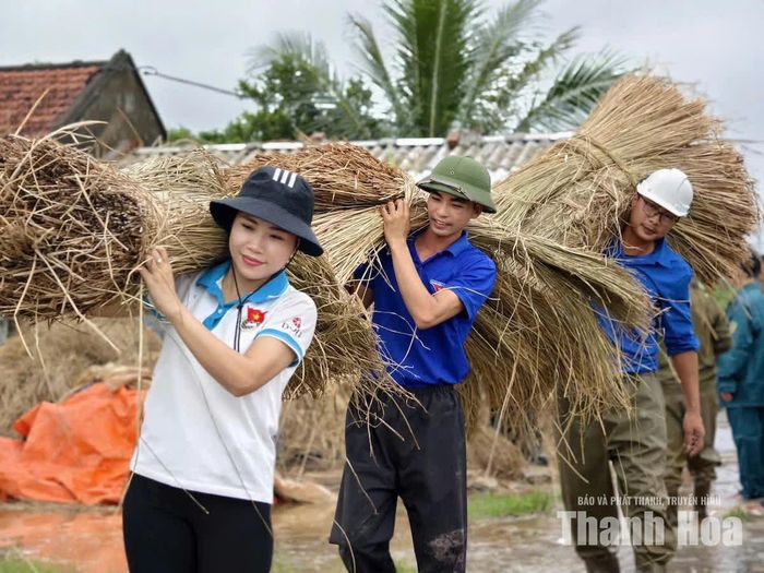 Đoàn viên, thanh niên bốc dọn cói tập kết đến nơi an toàn hỗ trợ người dân.