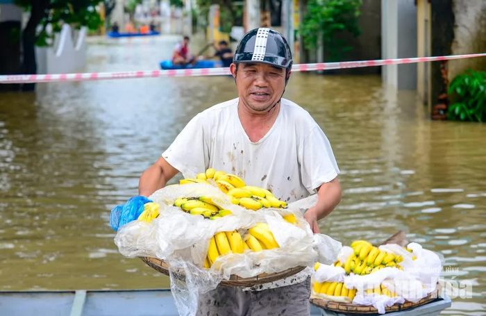 Gia đình ông Mai Văn Hải, phường Hàm Rồng chuyên cung cấp trái cây cho các trường học. Khi đường sá bị ngập, việc vận chuyển, giao hàng gặp nhiều khó khăn. Ông phải sử dụng thuyền để đưa chuối đến các đầu mối, vừa mất thêm thời gian, công sức, vừa tiềm ẩn nhiều rủi ro trong quá trình di chuyển.