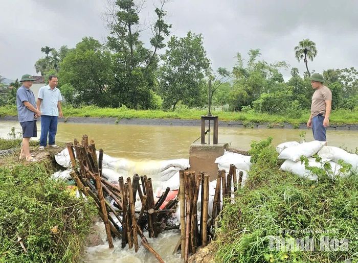 Xã Thăng Bình đã gia cố tạm thời tuyến kênh Nam bị vỡ.