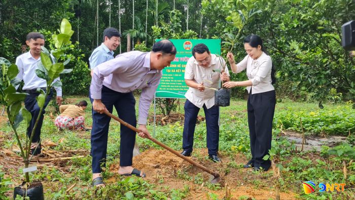 Hội Nông dân thành phố Đà Nẵng cùng với xã Thạnh Bình hỗ trợ ông Dũng mô hình vườn cây ăn quả xen canh. Ảnh: D.LỆ