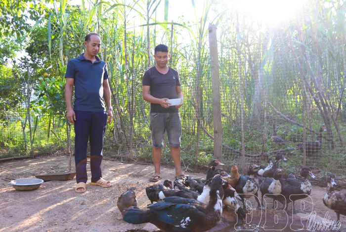 Đảng viên Chi bộ bản Nậm Là đồng hành cùng người dân phát triển kinh tế.