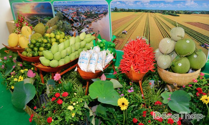 Nông sản đặc trưng của tỉnh Đồng Tháp.