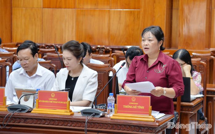 Lãnh đạo Thống kê tỉnh phát biểu tại cuộc họp.