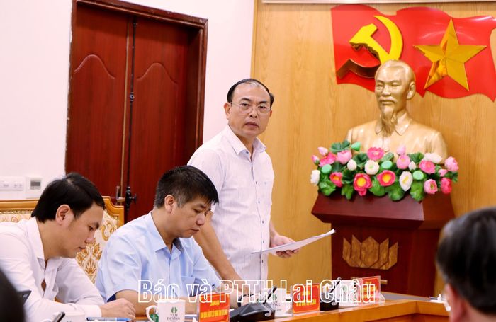 Đồng chí Nguyễn Sỹ Cảnh - Phó Chủ tịch UBND tỉnh phát biểu tại cuộc họp.