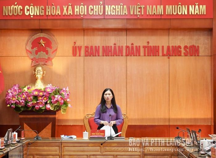 Đồng chí Trần Thanh Nhàn, Phó Chủ tịch UBND tỉnh kết luận cuộc họp