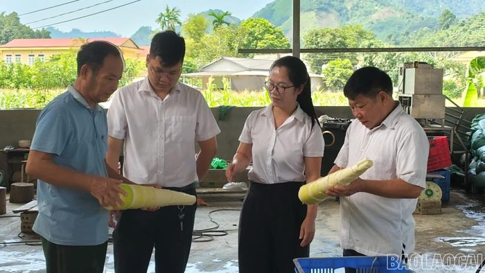 Nguồn vốn ngân hàng giúp nhiều khách hàng mở rộng đầu tư.