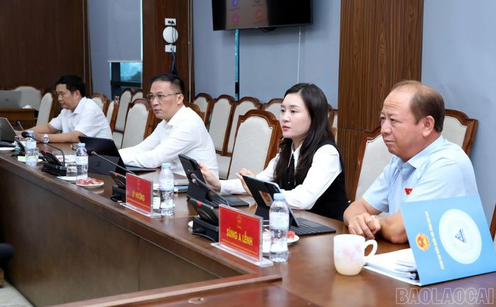 Các đại biểu dự hội nghị tập huấn.