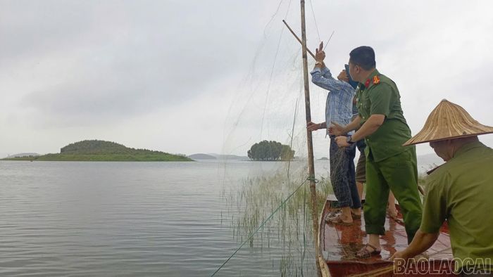 Lực lượng chức năng tháo dỡ lưới và các dụng cụ được sử dụng để bẫy, bắt chim tại xã Yên Thành.