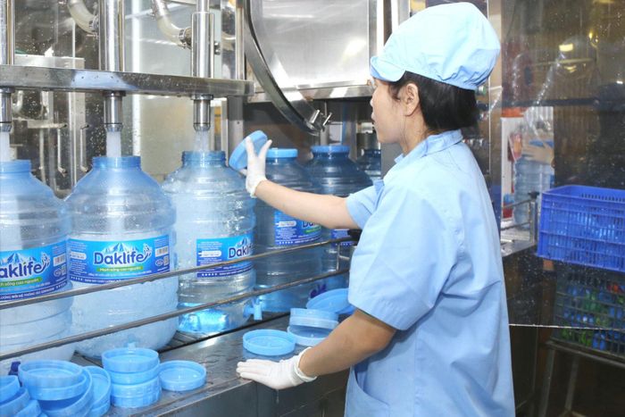 Trong 8 tháng năm 2026, Lâm Đồng có 3.055 doanh nghiệp gia nhập thị trường