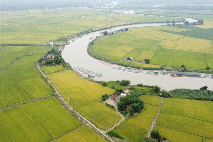 Sau khi tạo nguồn nước cho các hồ thủy điện ở thượng nguồn, sông Krông Nô tiếp tục cung cấp nước tưới cho ruộng đồng, nuôi thủy sản lồng bè ở hạ lưu