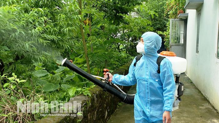 Thực hiện phun hoá chất diệt muỗi khi có chỉ định chuyên môn nhằm nâng cao hiệu quả phòng, chống dịch bệnh sốt xuất huyết.