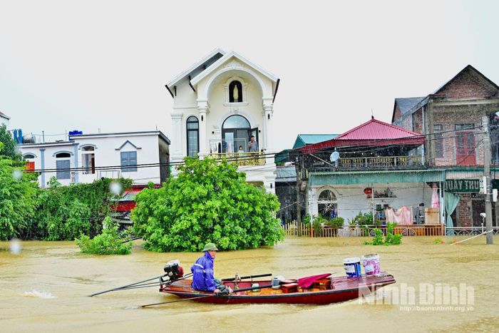 Nước lũ trên sông Hoàng Long đã làm ngập nhiều nhà dân ở thôn Kênh Gà, xã Gia Viễn (khu vực ngoài đê). Ảnh: Ngọc Linh