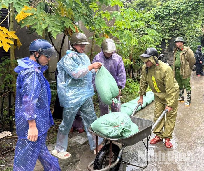 Xã Tân Thanh chuẩn bị vật tư để chủ động ngăn dòng nước tràn vào khu dân cư. Ảnh: Trần Giang