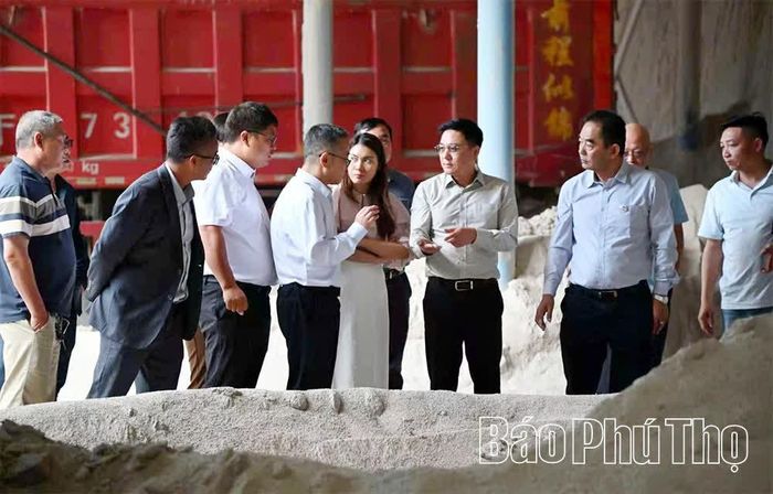 Đoàn công tác tỉnh Phú Thọ khảo sát cơ sở sản xuất của Tập đoàn Vật liệu xây dựng Hồng Thân Vân Nam.
