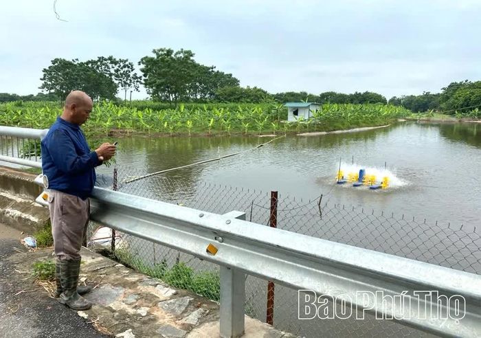 Ông Phùng Văn Trọng, thôn Nhật Chiêu 2, xã Liên Châu kiểm tra chất lượng nước ao nuôi cá ứng dụng công nghệ cao trên điện thoại thông minh.