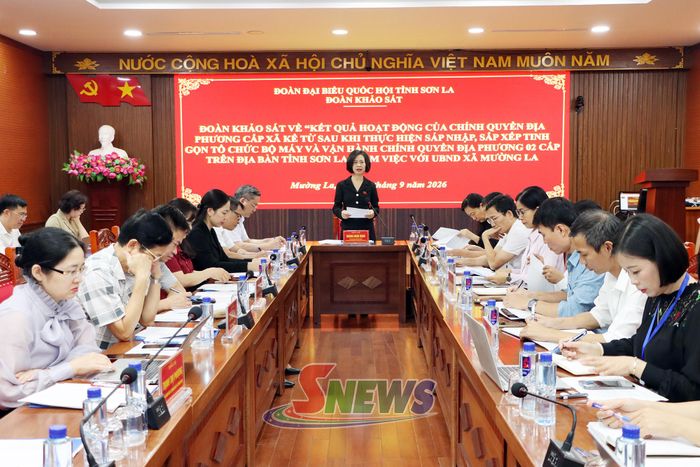Đoàn Đại biểu Quốc hội tỉnh khảo sát kết quả vận hành chính quyền cấp xã sau sáp nhập.