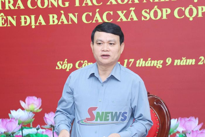 Đồng chí Phó Chủ tịch UBND tỉnh phát biểu tại cuộc làm việc.
