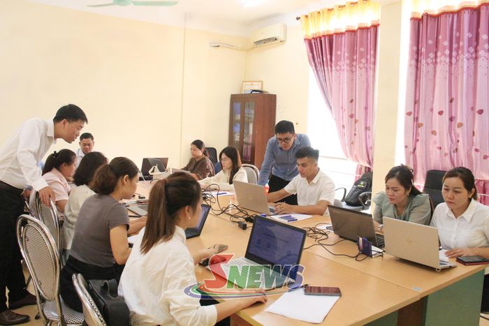 Các giáo viên được trưng tập hỗ trợ nhập và đối soát dữ liệu.
