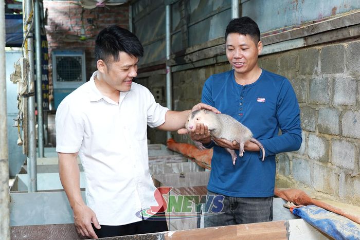 Mô hình nuôi dúi của nông dân bản Phai Xe, xã Mường Khiêng.