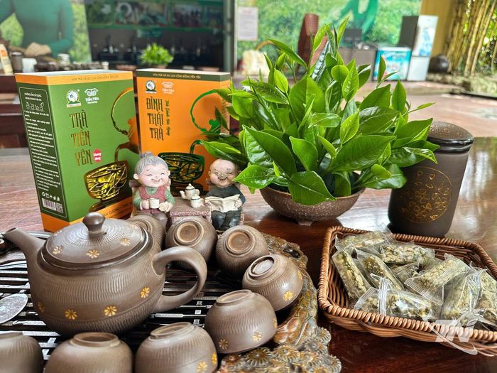 Kẹo lạc trà xanh là sản phẩm đang được nhiều HTX chè trong tỉnh phát triển, góp phần đưa hương trà đến gần hơn với người tiêu dùng.