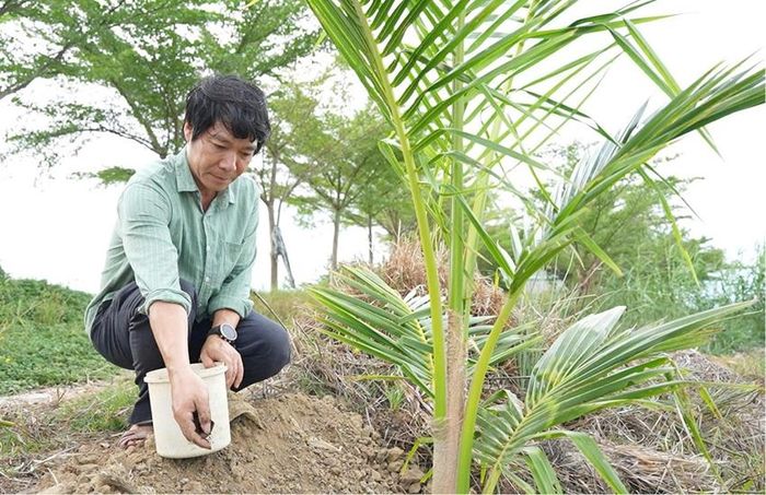 TS Trần Đăng Khoa, chủ nhiệm đề tài “Nghiên cứu trồng thử nghiệm một số giống dừa xiêm hướng đến phát triển kinh tế hộ và phủ xanh vùng đất cát ven đầm phá thành phố Huế”.
