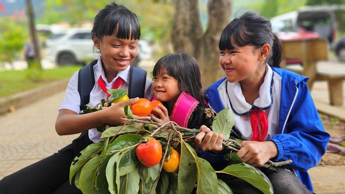 Loại quả ngọt ngào này gắn bó với tuổi thơ nhiều trẻ em vùng cao
