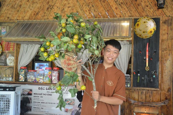 Hồng cành dùng để trang trí hàng quán vừa ngăm chơi, vừa chờ trái chín 