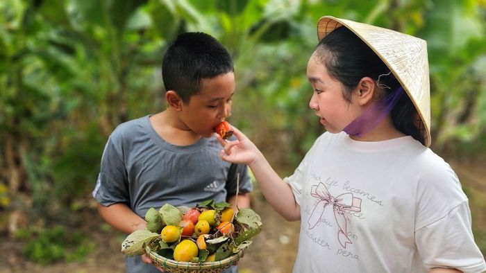 Niềm vui thưởng thức trái chín cây đầu mùa 