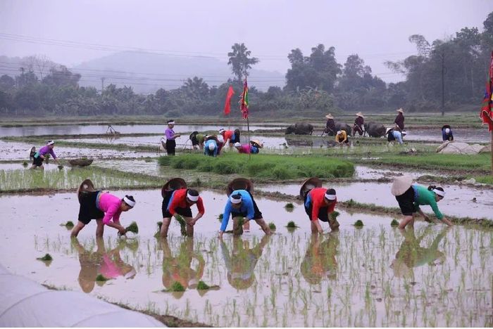 Lễ hội xuống đồng của bà con dân tộc Mường tỉnh Phú Thọ