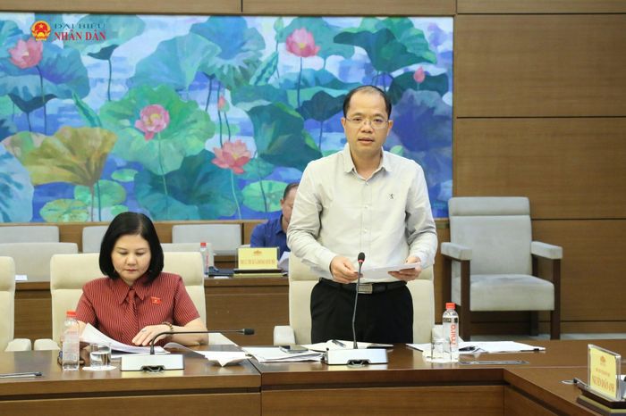 Phó Chủ nhiệm Ủy ban Quốc phòng, An ninh và Đối ngoại Đinh Công Sỹ phát biểu. Ảnh: Đắc Trường