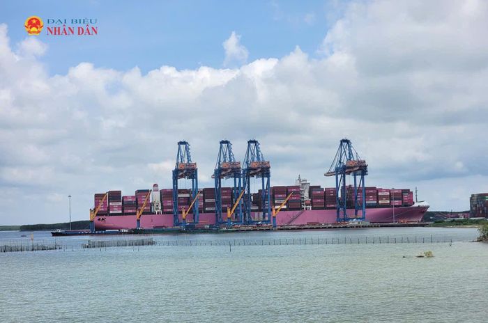 Tàu container quốc tế đang bốc dỡ container tại khu vực Cảng Cái Mép - Thị Vải. Ảnh: Quang Phương