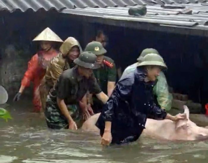 CBCS Công an tỉnh Ninh Bình giúp người dân di chuyển vật nuôi, bảo vệ tài sản...