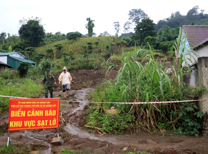 Khoảng 4ha diện tích cây trồng nằm trong khu vực bị ảnh hưởng.