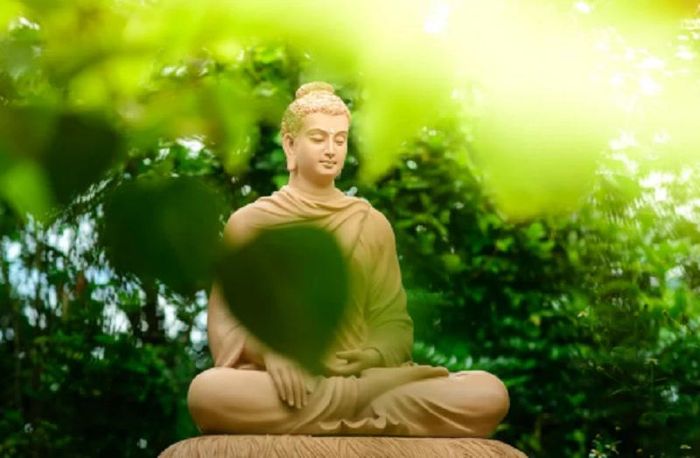 Hình ảnh chỉ mang tính chất minh hoạ