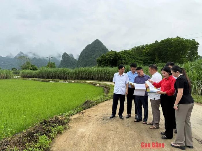 Đoán giám sát thực địa dự án xây dựng đường nông thôn tiếp nối quốc lộ 3 đến Bó Pu - Nà Seo, thị trấn Hòa Thuận, huyên Quảng Hòa cũ.