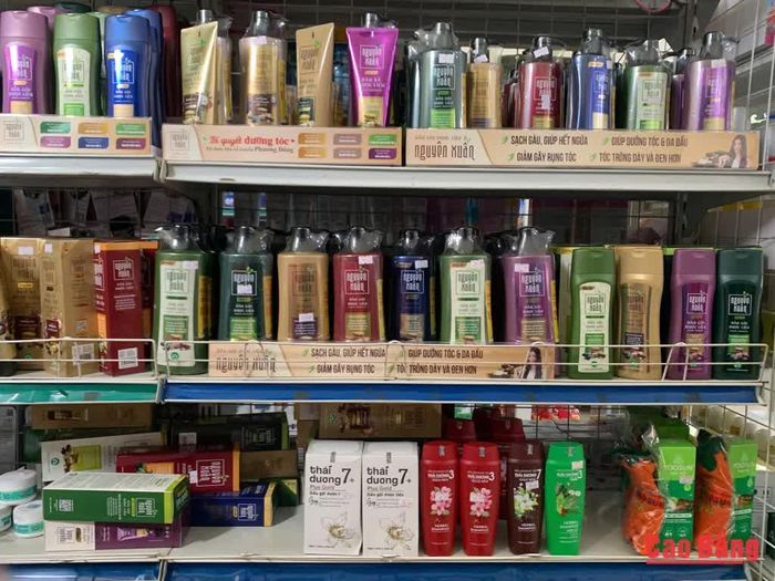 Các sản phẩm chăm sóc tóc từ thảo dược ngày càng đa dạng trên thị trường.