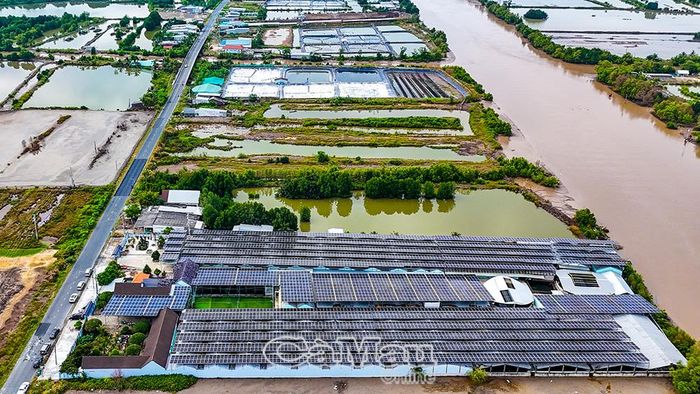 Pin năng lượng mặt trời tại cơ sở của ông Bùi Kim Luyến (xã Đất Mới).