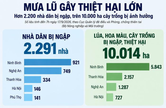 Mưa lũ khiến hơn 2.200 nhà dân bị ngập, 10.000ha cây trồng thiệt hại
