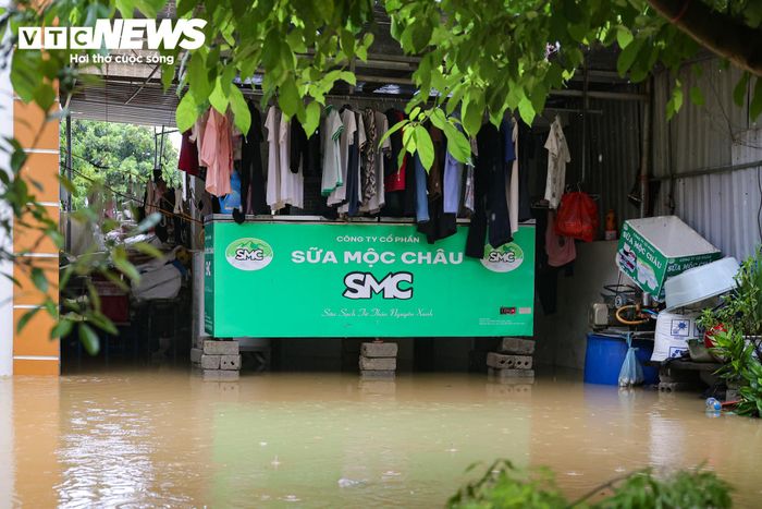 Để hạn chế thiệt hại, người dân kê cao đồ đạc, đưa các vật dụng sinh hoạt lên những vị trí cao hơn. Nhiều hộ cũng phải di chuyển gia súc, gia cầm đến khu vực cao ráo nhằm hạn chế nguy cơ thiệt hại do nước lũ.