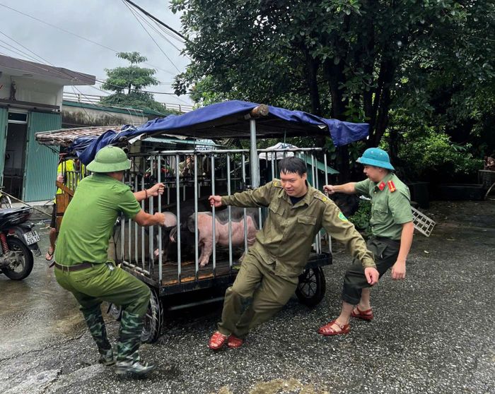 Những tài sản có giá trị, vật dụng thiết yếu được ưu tiên di chuyển trước, hạn chế thiệt hại nếu nước tiếp tục dâng.