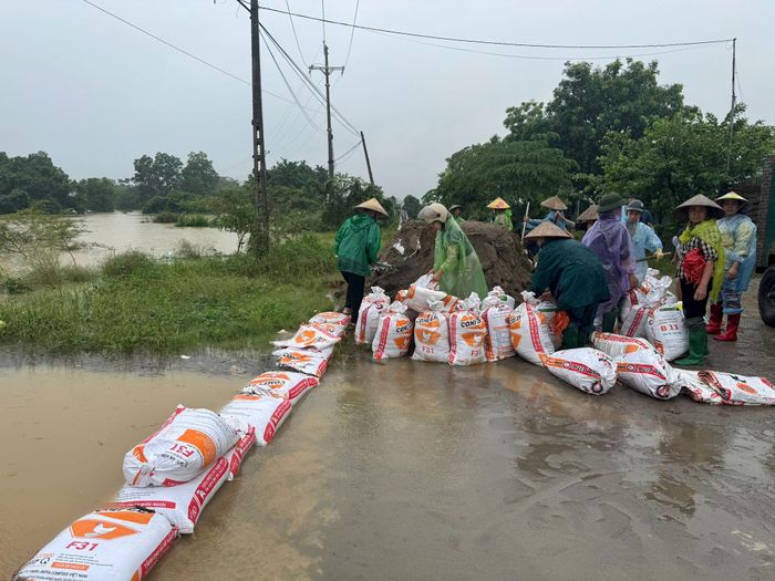 Các lực lượng phòng, chống thiên tai và nhân dân xã Xuân Mai chống tràn đê hữu Bùi. Ảnh: Hồng Nga