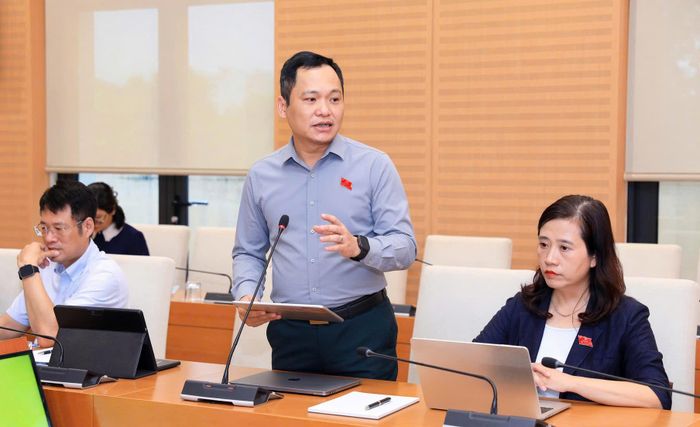 Thành viên đoàn giám sát phát biểu tại buổi làm việc. Ảnh: Lê Hải