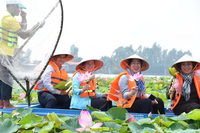 Đoàn công tác Hội Nông dân thành phố Hà Nội tham quan mô hình trồng sen kết hợp trải nghiệm ở tỉnh Đồng Tháp. Ảnh: Hải Yến 