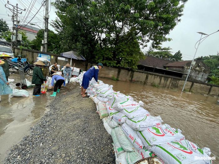 Chủ động triển khai biện pháp ứng phó với mưa lũ. Ảnh: Lại Tấn
