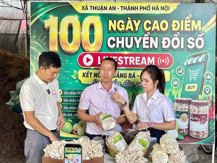 Chủ cơ sở sản xuất giới thiệu về nấm sò trên sóng livestream. Ảnh: Vân Thư
