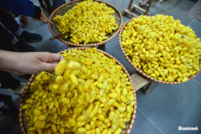 Nghề dệt lụa ở đây có lịch sử hơn một thiên niên kỷ, gắn liền với thần phả về bà Ả Lã Đê Nương, người được dân làng tôn kính phụng thờ làm Thành hoàng làng tại đình Vạn Phúc. Tương truyền vào khoảng giữa thế kỷ IX, chính bà đã truyền dạy cho dân làng nghề trồng dâu, nuôi tằm, ươm tơ và dệt lụa, đặt nền móng bền vững cho một làng nghề thủ công truyền thống danh tiếng bậc nhất Việt Nam.