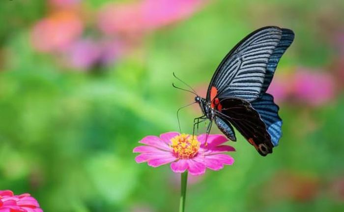 Người sinh tháng 7 Âm lịch được cho là có khả năng đạt những bước tiến đáng kể trong sự nghiệp từ trung vận. Ảnh minh họa