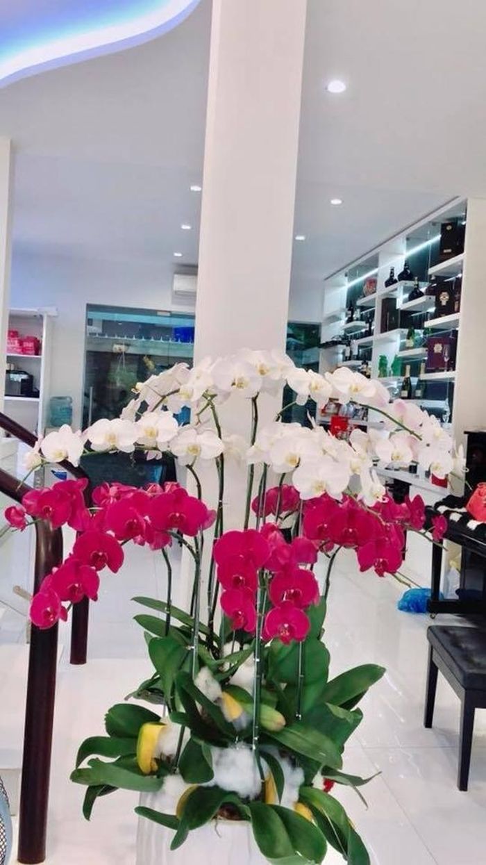 Người đẹp không ngại bỏ cả món tiền lớn để phủ không gian sống bằng vô số loài hoa như lan, cúc, hồng, ly....