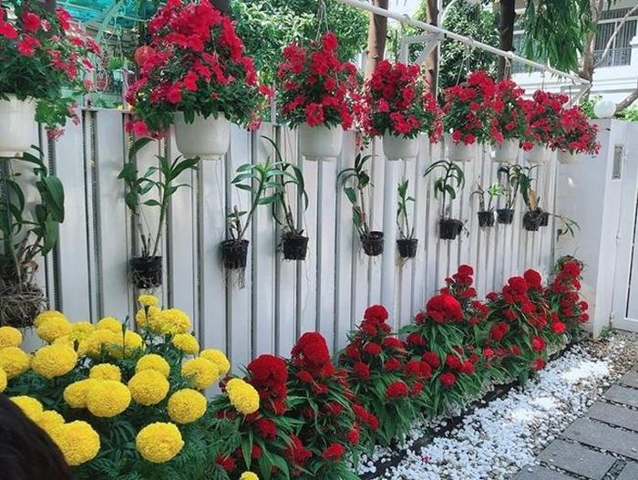 Lối vào nhà của Khánh My ngập tràn sắc hoa tươi ngày Tết.